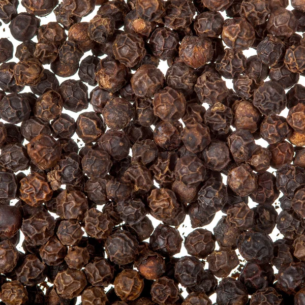 Black pepper close up — Stock Photo, Image