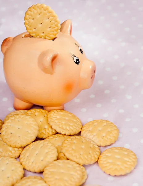 Piggy bank with round cookies — Stock Photo, Image