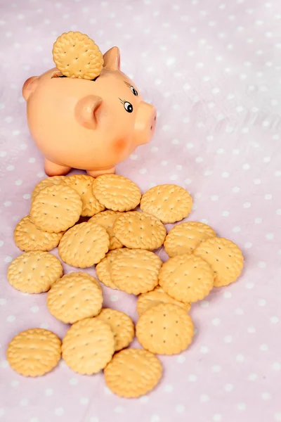 Sparschwein mit runden Plätzchen — Stockfoto