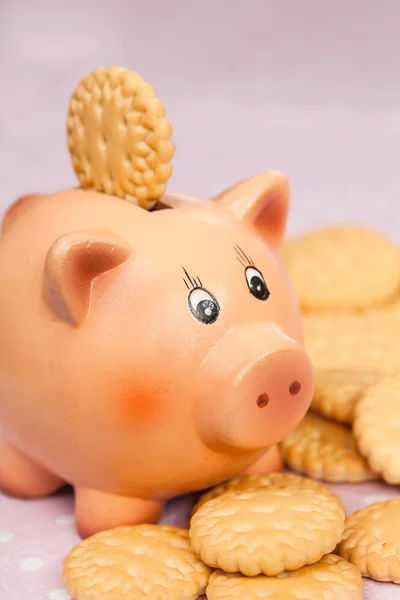 Piggy bank a kerek cookie-k — Stock Fotó
