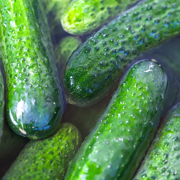 Cucumbers flowing on water — Stock Photo, Image