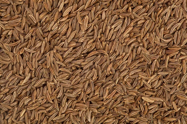 Zbliżenie nasion kminku — Zdjęcie stockowe