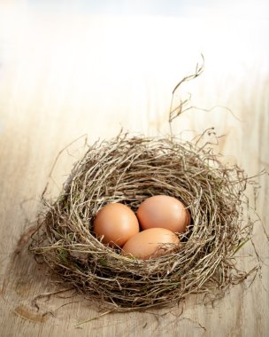 Ahşap plaka üzerinde yuva üzerinde yumurta