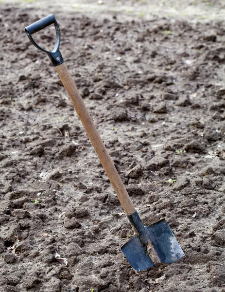 花园在土壤中的铲子 — 图库照片