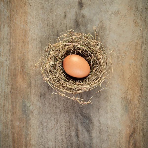 Hay nest with brown egg on wooden board — Stock Photo, Image