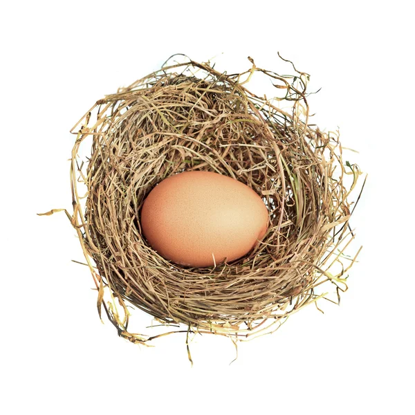 Uovo di gallina isolato nel nido di paglia — Foto Stock