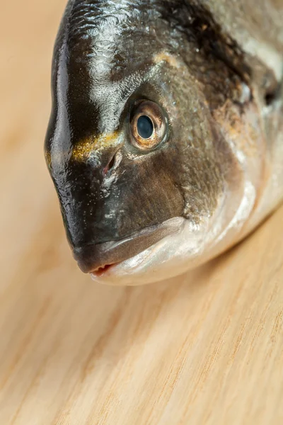 Closeup of dorado fish head — Stock Photo, Image