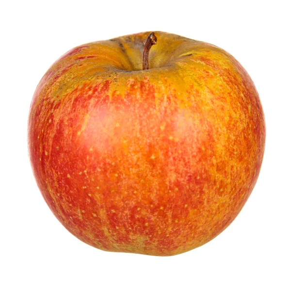 Fresh organic apple Royalty Free Stock Photos