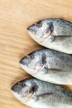 Gemide üç dorado balıklar