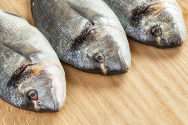 Gemide üç dorado balıklar