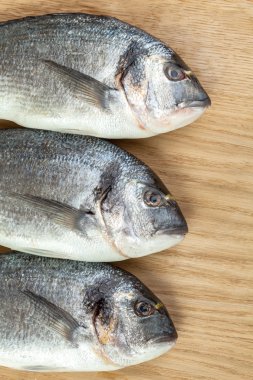 Gemide üç dorado balıklar