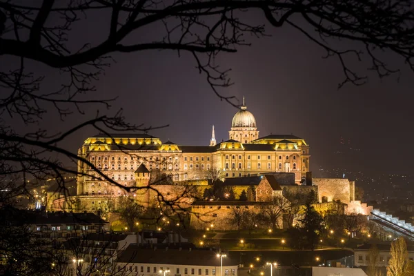 Hrad v Budapešti, Maďarsko — Stock fotografie