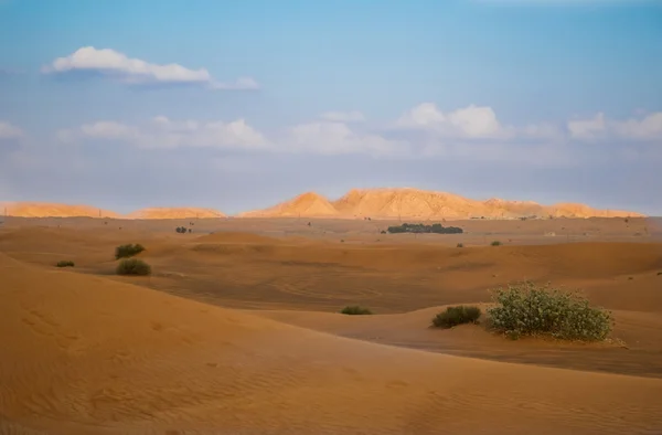 Έρημο στο Ντουμπάι, Ηνωμένα Αραβικά Εμιράτα — Φωτογραφία Αρχείου