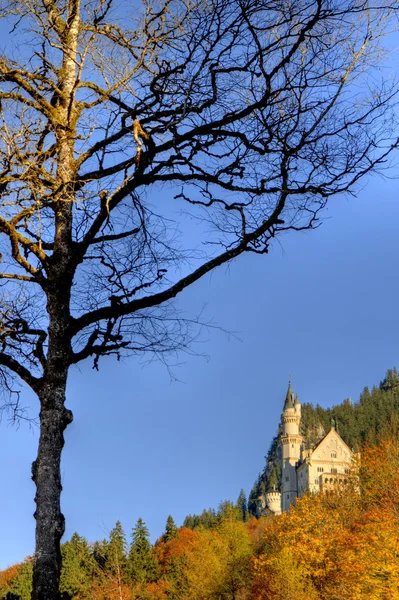 Castelo de Neuschwanstein perto de Munique, na Alemanha — Fotografia de Stock