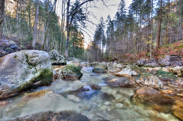 Flödande floden i höst skogen — Stockfoto