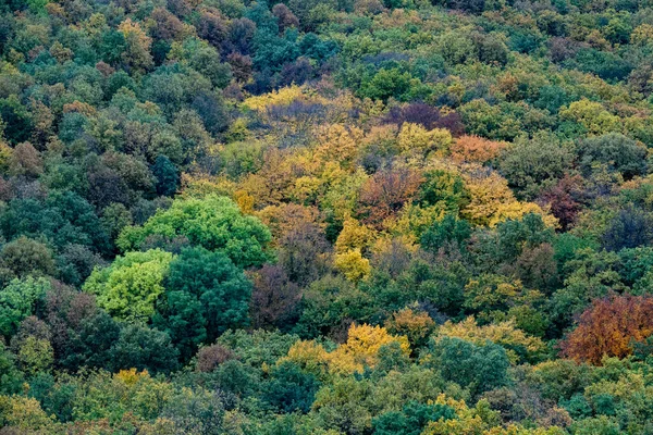 Vue aérienne de la belle forêt d'automne orange et rouge — Photo