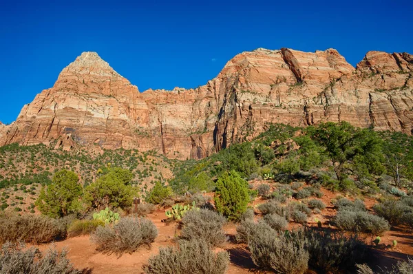 Εθνικό Πάρκο Zion Canyon, Γιούτα, Ηνωμένες Πολιτείες της Αμερικής — Φωτογραφία Αρχείου