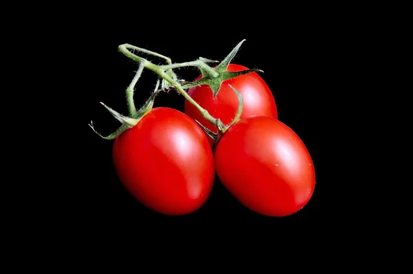 Pomidory na czarny — Zdjęcie stockowe
