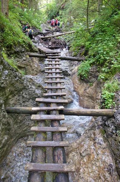 Slovakian Paradise, SLOVAKIA - JULY 05: Unknown Hiker in Slovaki — Stock Photo, Image