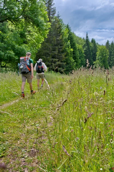 Wandelaars in het bos — Stockfoto