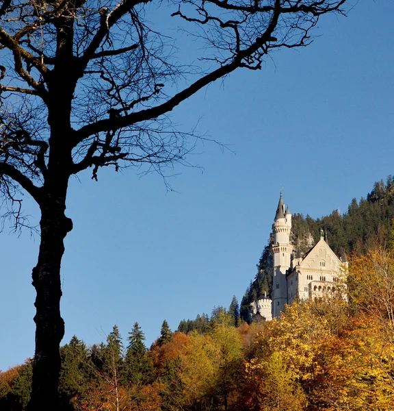 Castelo de Neuschwanstein perto de Munique, na Alemanha — Fotografia de Stock