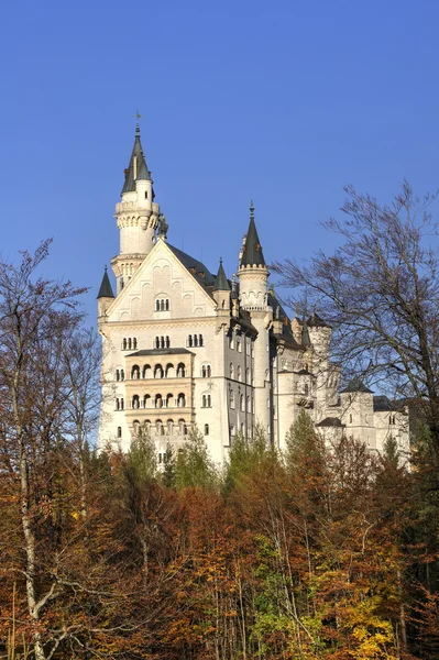 Castelo de Neuschwanstein perto de Munique, na Alemanha, em um dia de outono — Fotografia de Stock