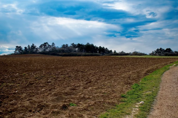 Terra cultivada e céu nublado — Fotografia de Stock