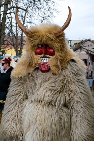 MOHACS, HONGRIE - 07 FÉVRIER : Des personnes non identifiées masquées — Photo