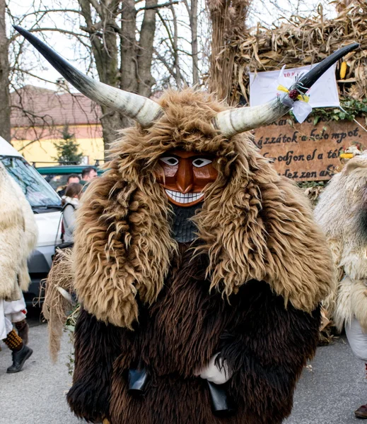 MOHACS, HONGRIE - 07 FÉVRIER : Des personnes non identifiées masquées — Photo