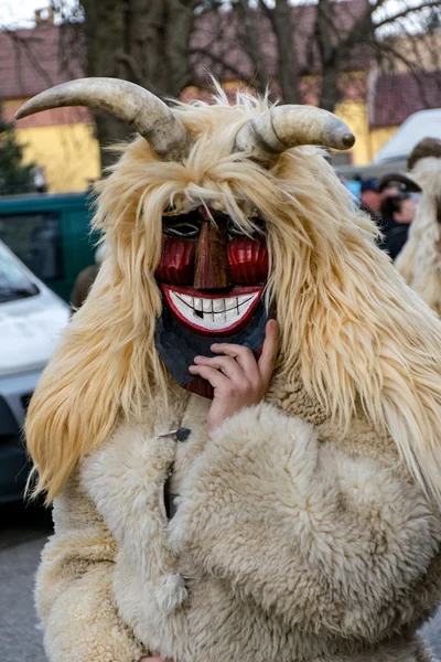 MOHACS, HONGRIE - 07 FÉVRIER : Des personnes non identifiées masquées — Photo