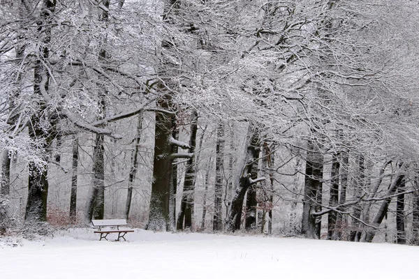 Banc de parc couvert de neige et forêt hivernale — Photo