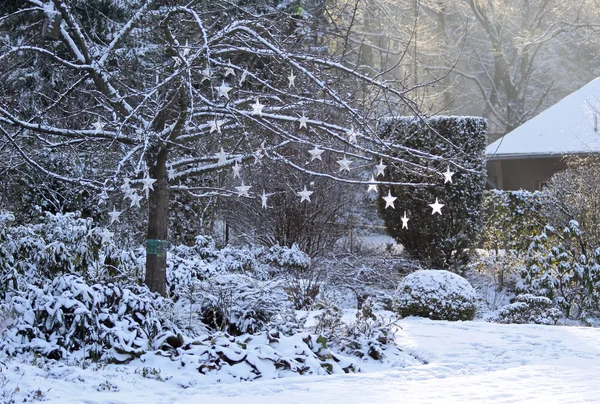 Árvore com estrelas brilhantes no jardim nevado Fotos De Bancos De Imagens Sem Royalties