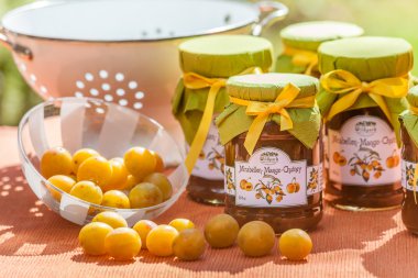 Mirabelle Chutneys