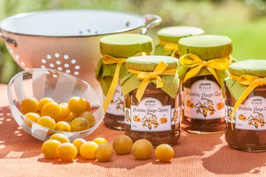 Mirabelle Chutneys