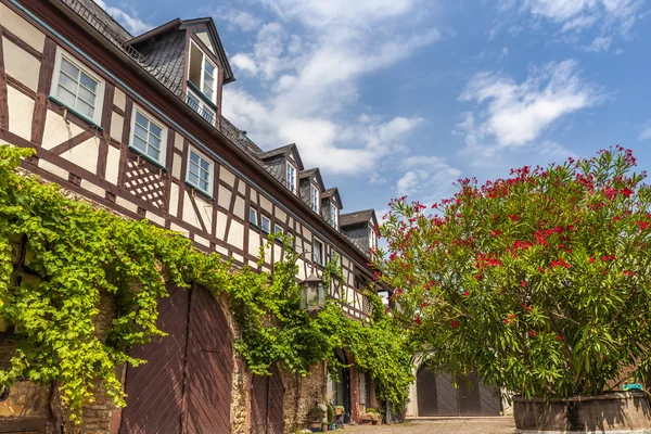 Weinberg in Deutschland — Stockfoto