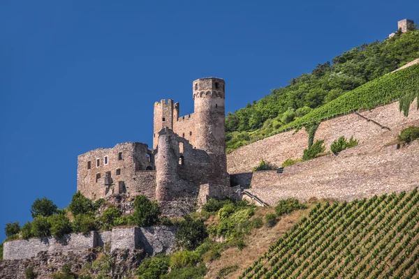 Harabe kale ehrenfels — Stok fotoğraf