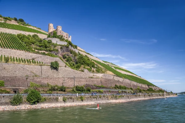 Fördärva av slottet ehrenfels — Stockfoto