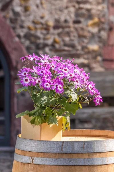 Blumenschmuck auf altem Holzfass — Stockfoto