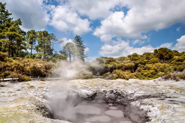 WAI-o-tapu geotermiska området — Stockfoto