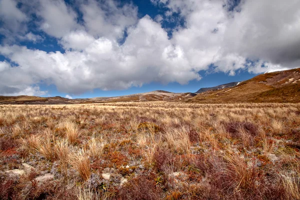 Skrovné krajina v národním parku tongariro — Stock fotografie