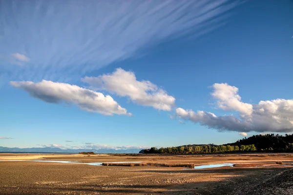 Paisagem costeira no Parque Nacional Abel Tasman — Fotografia de Stock