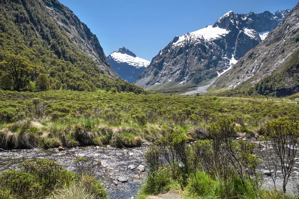 Gebirgsbach an der Milford Road — Stockfoto