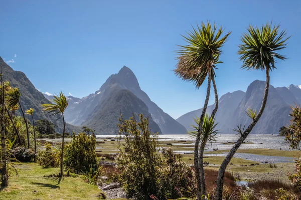 Milford Sound y Mitre Peak —  Fotos de Stock