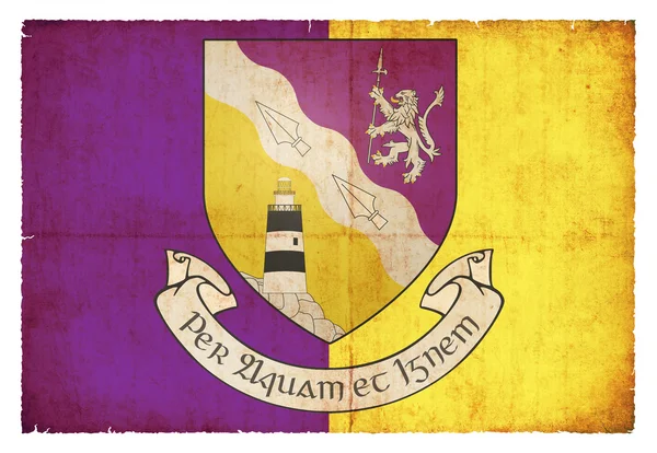 Гранж-флаг Уэксфорда (Ирландия) ) — стоковое фото