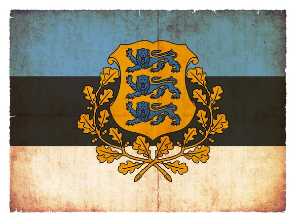 Grunge flag of Estonia with coat of arms — Stock Photo, Image