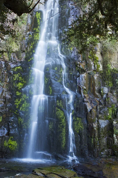 Cola de golondrina cae en Hogsback, Sudáfrica Imágenes De Stock Sin Royalties Gratis