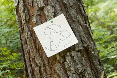 Bir ağaç tabelada geri dönüşüm