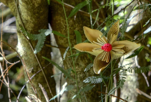 Λουλούδι χαρτί σε ένα δέντρο — Φωτογραφία Αρχείου