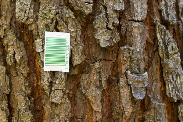 Barcode op een boom — Stockfoto