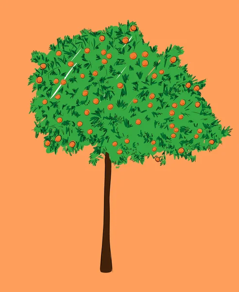 Ein Orangenbaum, Vektorillustration — Stockvektor